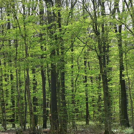 Ferienwohnungen Fischer Strullendorf Exteriér fotografie