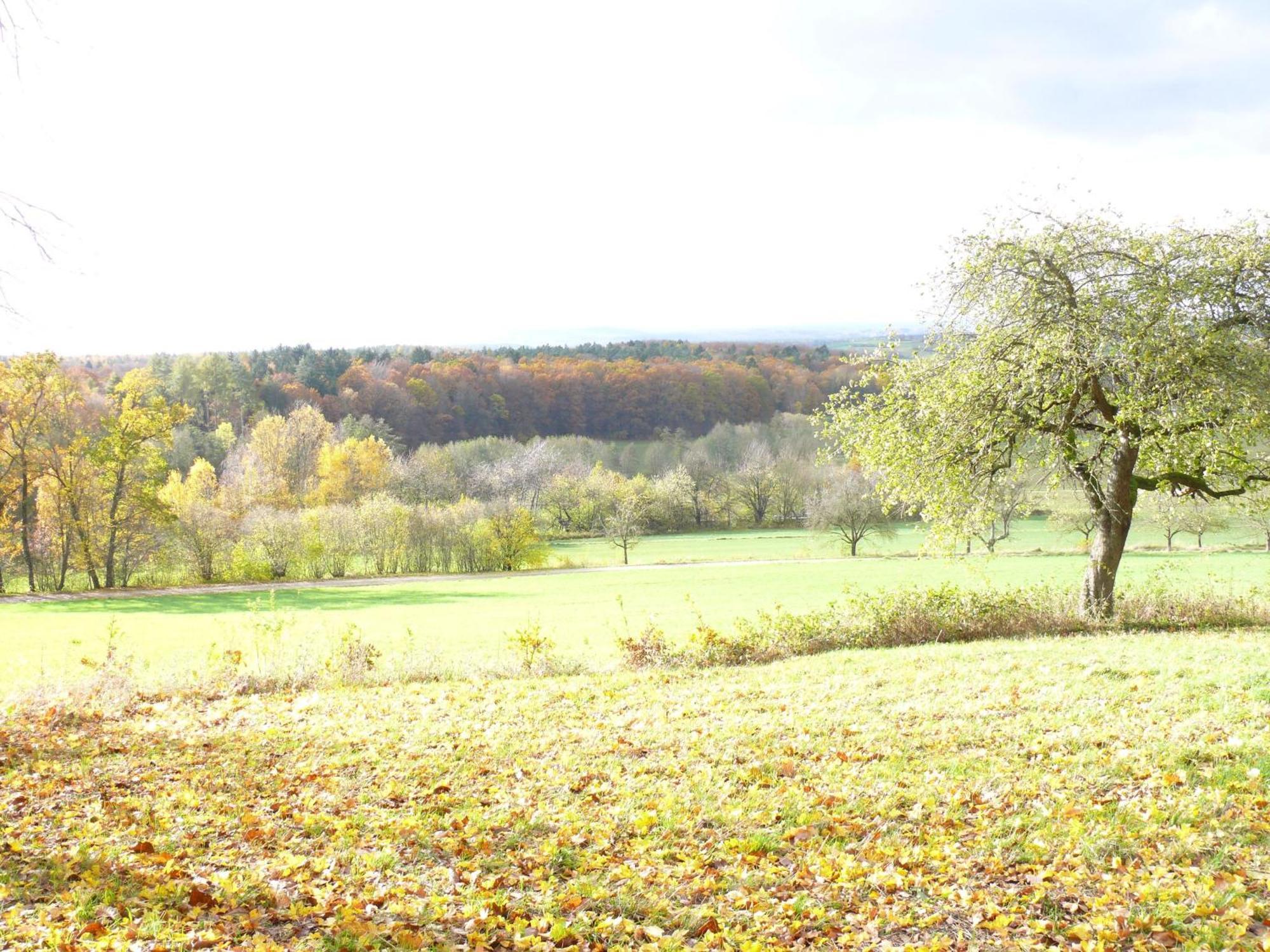 Ferienwohnungen Fischer Strullendorf Exteriér fotografie